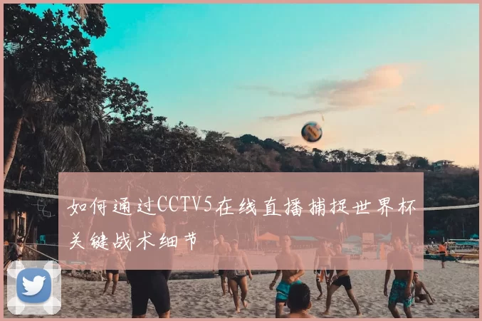 如何通过CCTV5在线直播捕捉世界杯关键战术细节