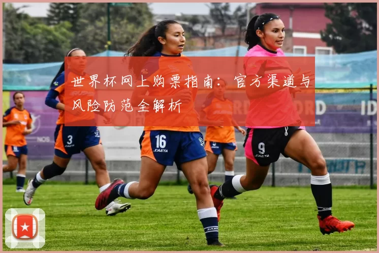 世界杯网上购票指南：官方渠道与风险防范全解析