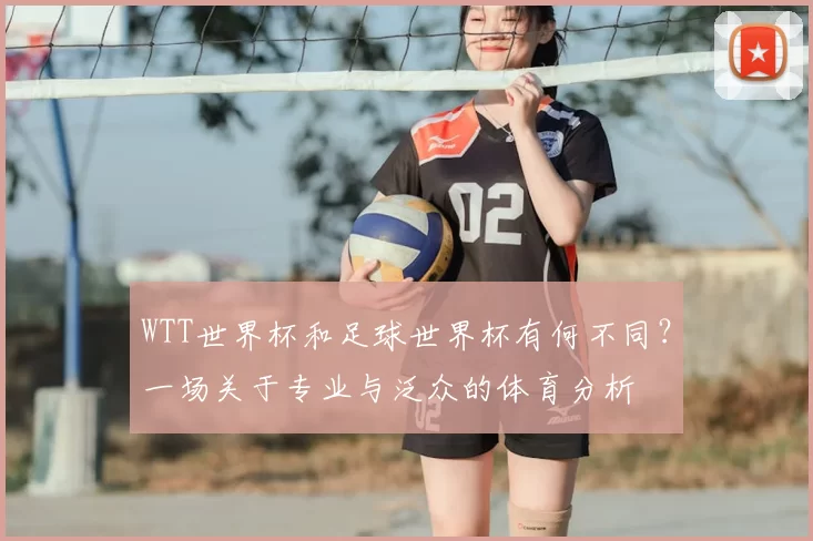 WTT世界杯和足球世界杯有何不同？一场关于专业与泛众的体育分析