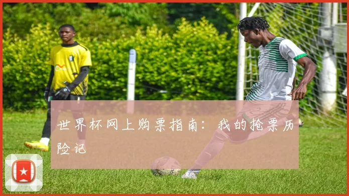 世界杯网上购票指南：我的抢票历险记