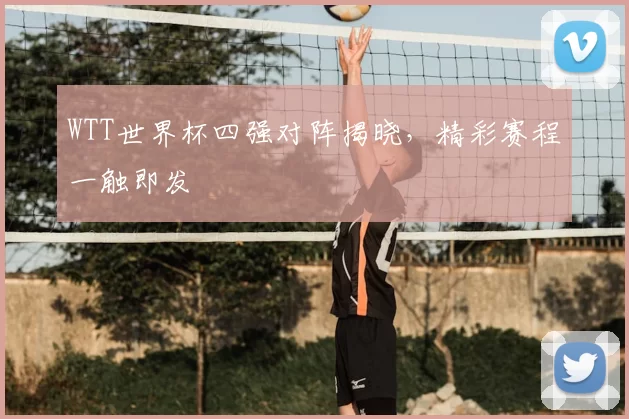 WTT世界杯四强对阵揭晓，精彩赛程一触即发
