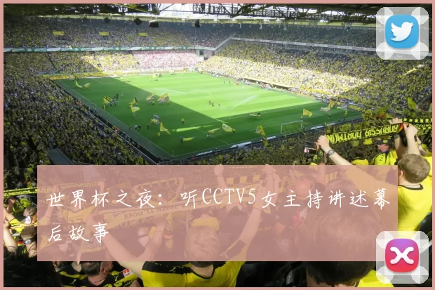 世界杯之夜:听CCTV5女主持讲述幕后故事