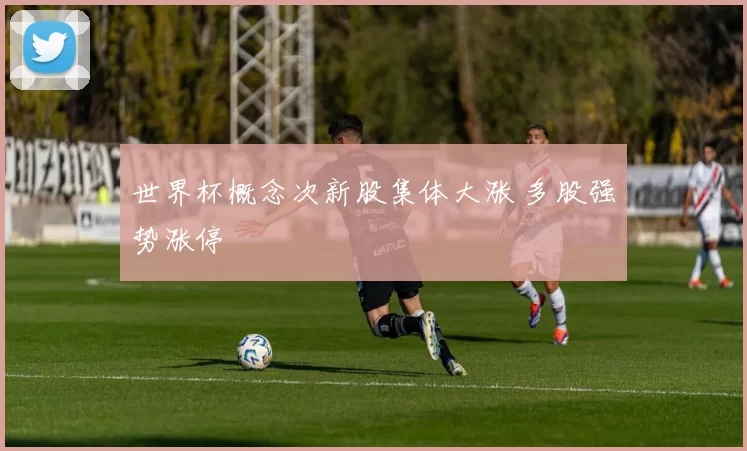 世界杯概念次新股集体大涨 多股强势涨停
