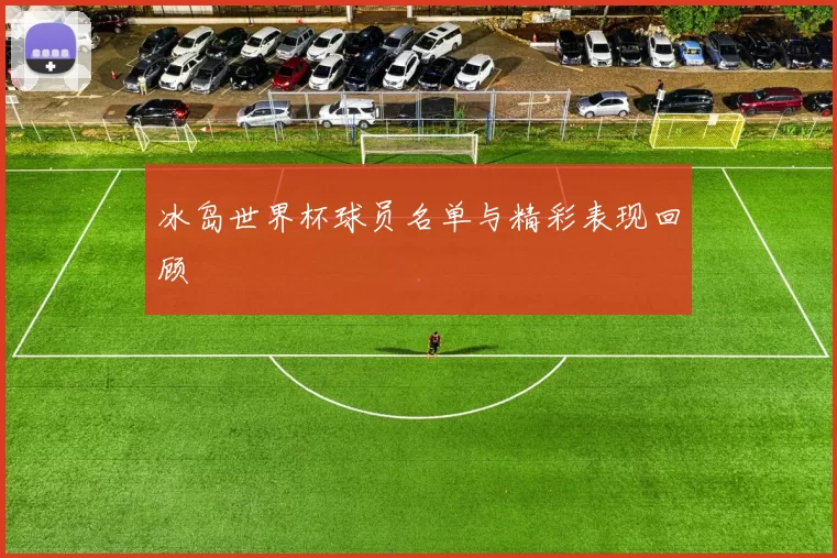 冰岛世界杯球员名单与精彩表现回顾