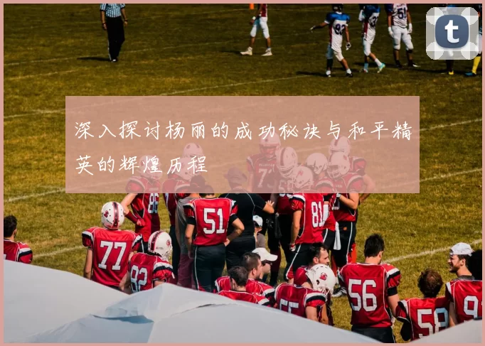 深入探讨杨丽的成功秘诀与和平精英的辉煌历程