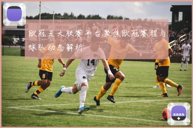 欧冠五大联赛平台聚焦欧冠赛程与球队动态解析