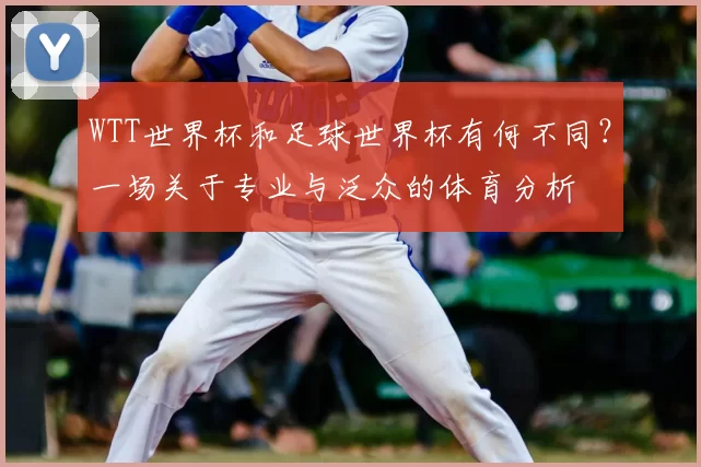 WTT世界杯和足球世界杯有何不同?一场关于专业与泛众的体育分析