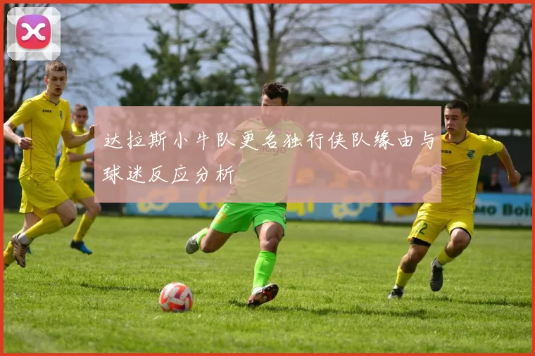 达拉斯小牛队更名独行侠队缘由与球迷反应分析