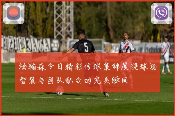 杨瀚森今日精彩传球集锦展现球场智慧与团队配合的完美瞬间